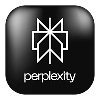 Perplexity